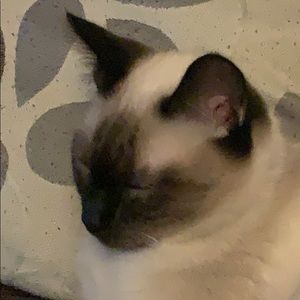 Meet your Posher, Jordan